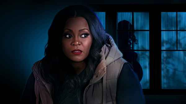 The Hillsdale Adoption Scam Poster 2