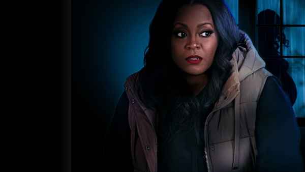 The Hillsdale Adoption Scam Poster 3