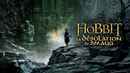 The Hobbit: The Desolation of Smaug Poster 7