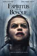 The Hollow Child Poster 2