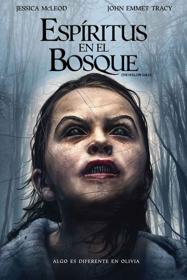 The Hollow Child Poster 2