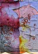 The Honey Of Your Small Voice Poster 1