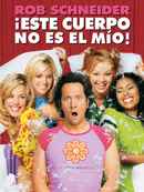 The Hot Chick Poster 4