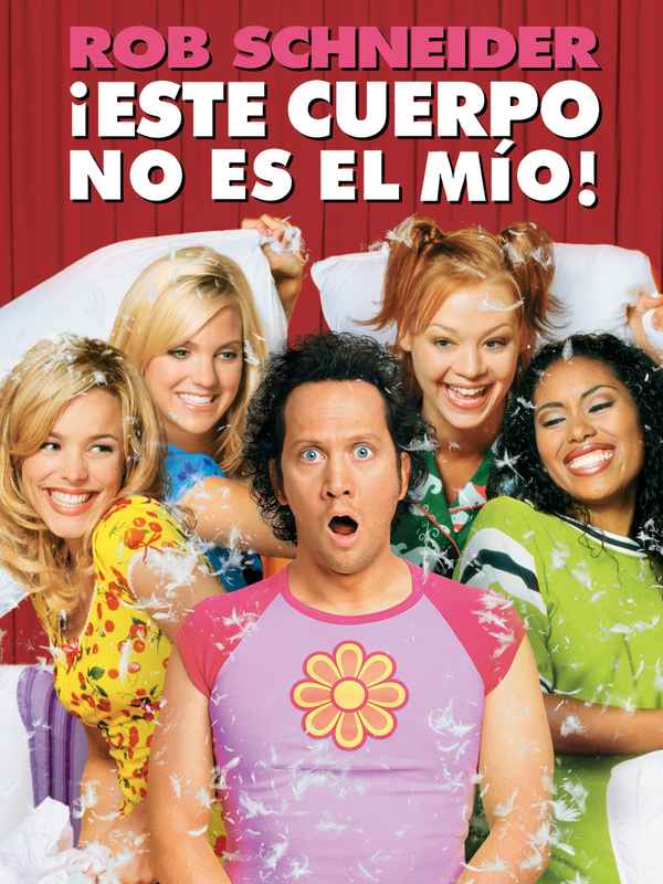 The Hot Chick Poster 4