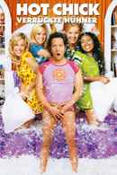 The Hot Chick Poster 7