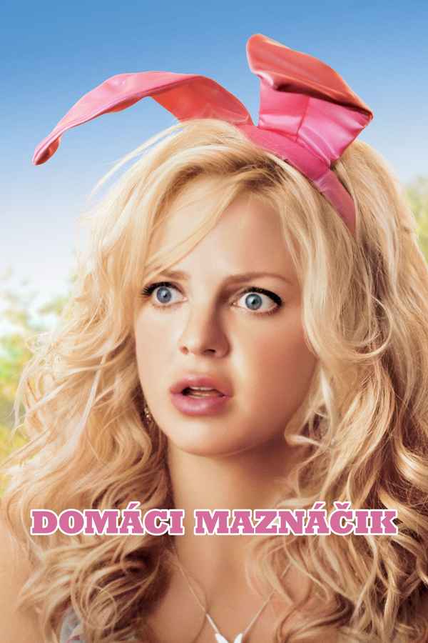 The House Bunny Poster 5