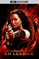 The Hunger Games: Catching Fire Poster 6