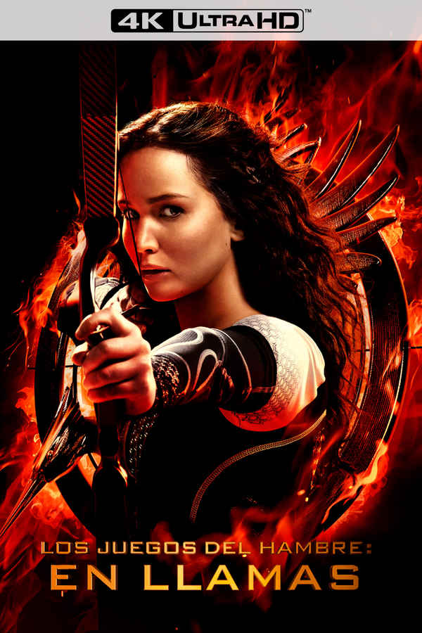 The Hunger Games: Catching Fire Poster 6