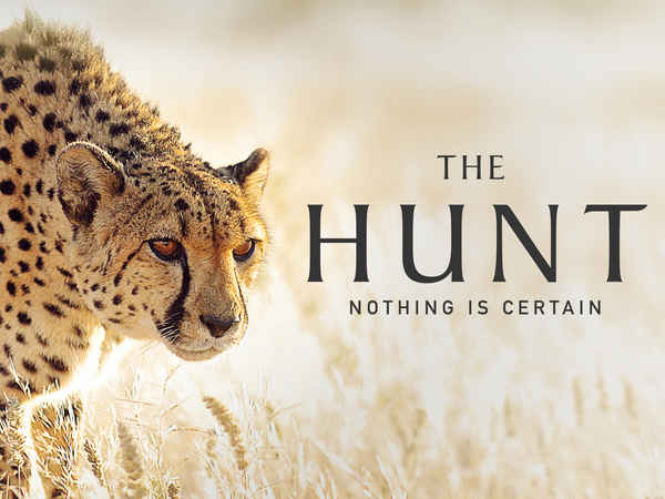The Hunt Poster 1