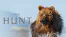 The Hunt Poster 1