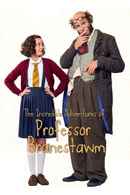 The Incredible Adventures Of Professor Branestawm Poster 1