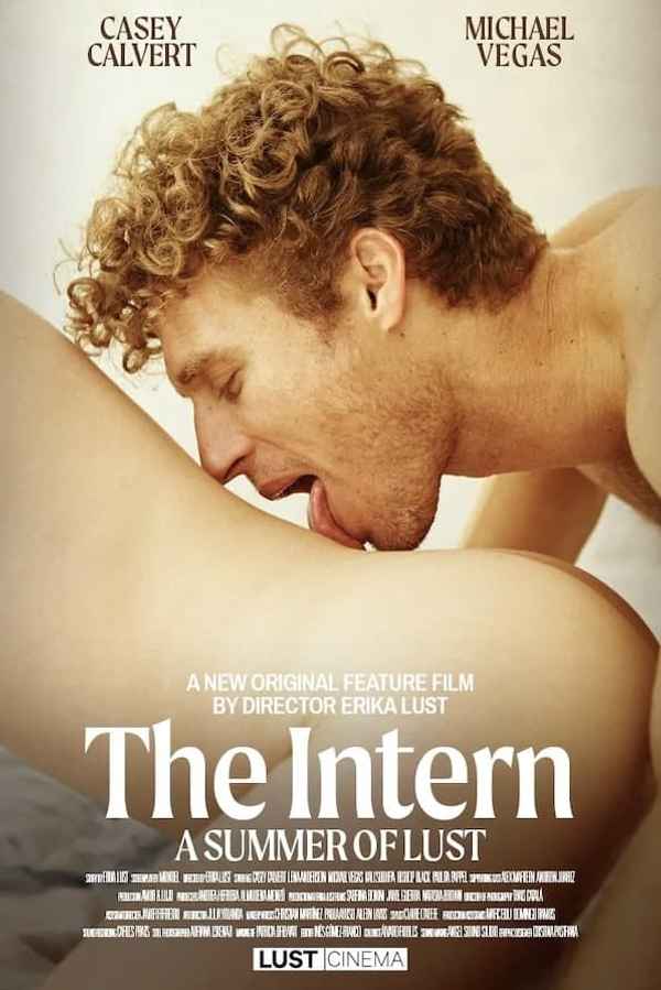 The Intern - A Summer of Lust Poster 5
