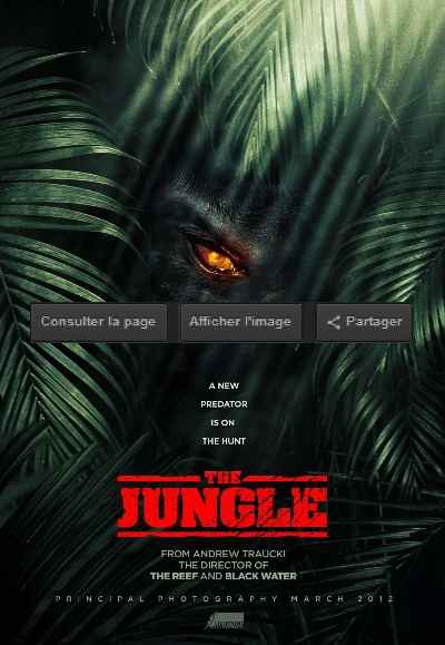 The Jungle