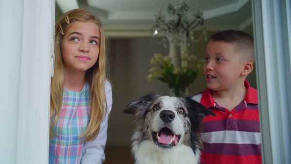 The Junkyard Dogs Poster 6