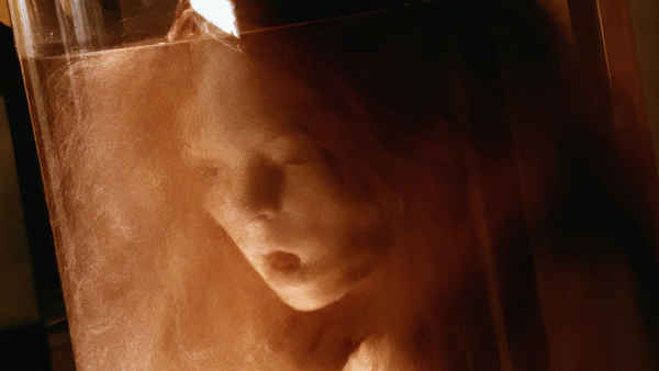 The Kingdom I Poster 2