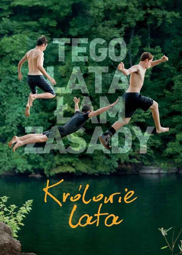The Kings of Summer Poster 7