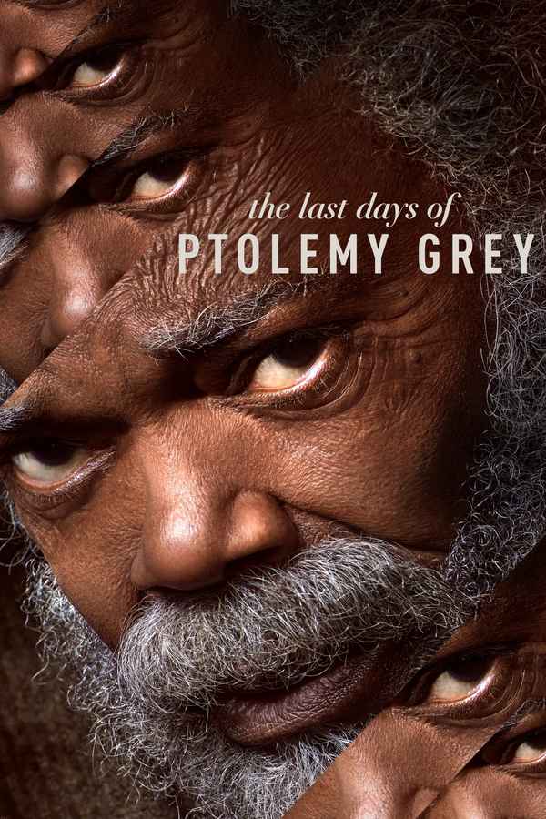 The Last Days of Ptolemy Grey Poster 4