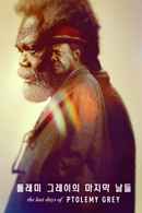 The Last Days of Ptolemy Grey Poster 6