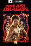 The Last Dragon Poster 1