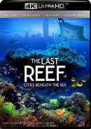 The Last Reef: Cities Beneath the Sea Poster 6