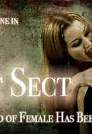 The Last Sect Poster 7