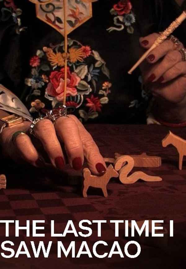 The Last Time I Saw Macao Poster 5