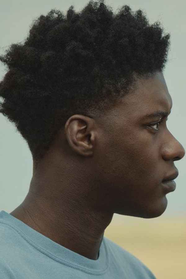 The Last Tree Poster 6