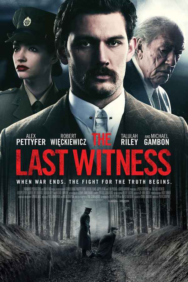 The Last Witness Poster 4