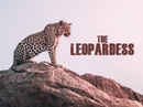 The Leopardess Poster 6