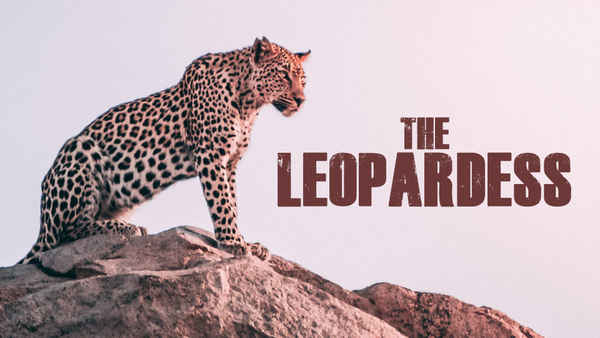 The Leopardess Poster 4