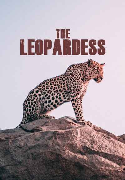 The Leopardess