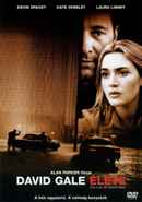 The Life of David Gale Poster 6