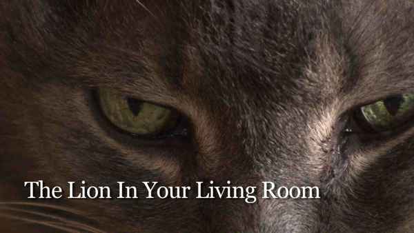 The Lion In Your Living Room Poster 2