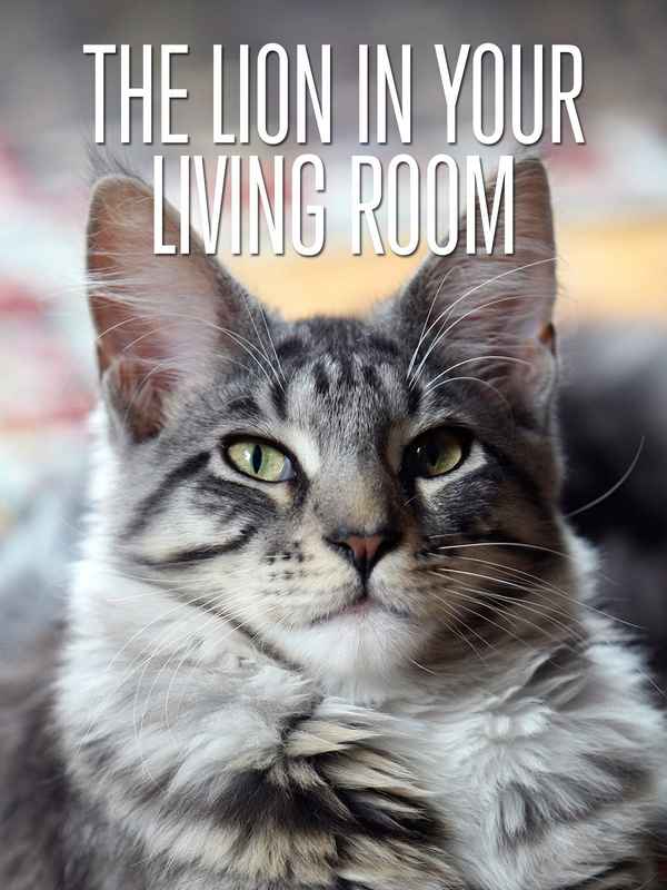 The Lion In Your Living Room Poster 4