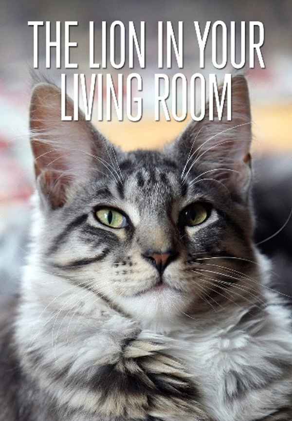 The Lion In Your Living Room Poster 6