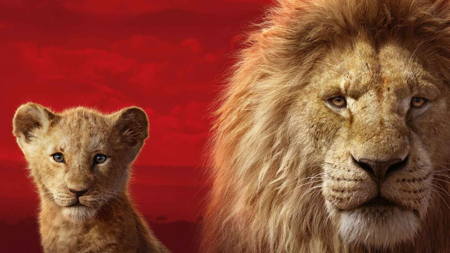 the lion king 2 full movie download the lion king 2 full movie download