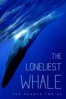 The Loneliest Whale: The Search for 52 Poster 6