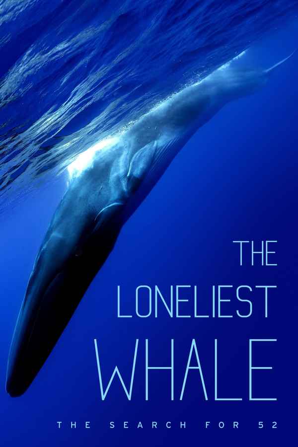 The Loneliest Whale: The Search for 52 Poster 6
