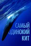 The Loneliest Whale: The Search for 52 Poster 7