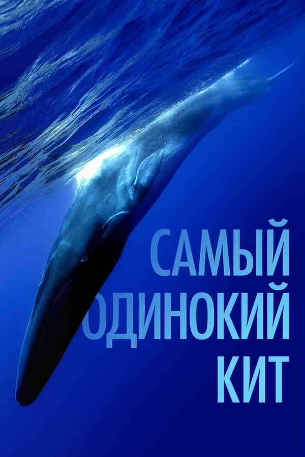The Loneliest Whale: The Search for 52 Poster 7