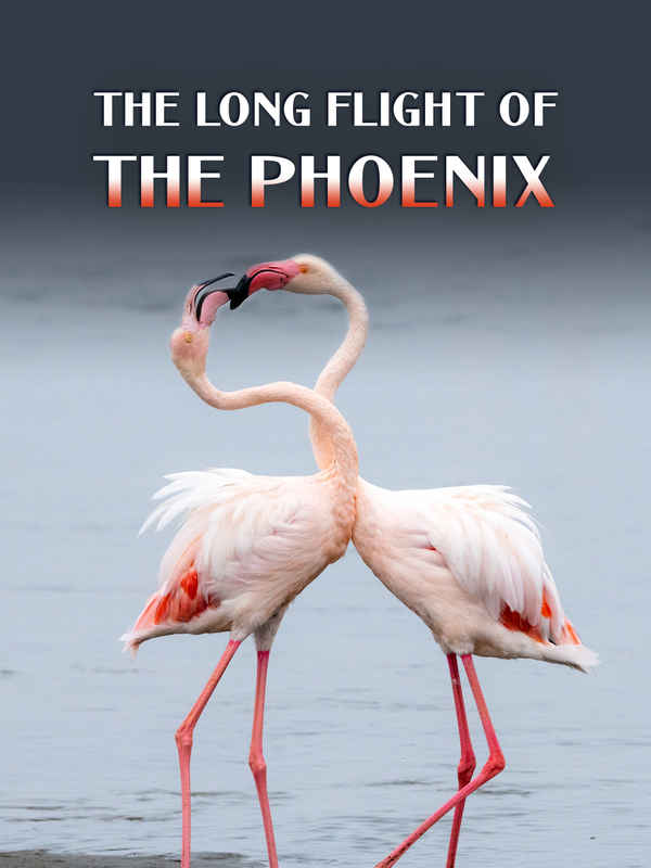 The Long Flight of the Phoenix Poster 1