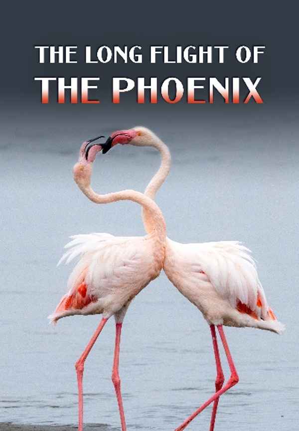 The Long Flight of the Phoenix Poster 6