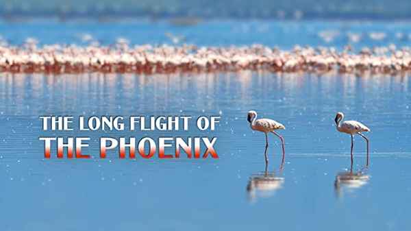 The Long Flight of the Phoenix Poster 3