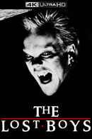 The Lost Boys Poster 6