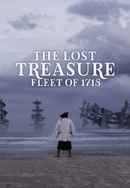 The Lost Treasure Fleet of 1715 Poster 6