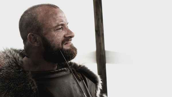 The Lost Viking Poster 2