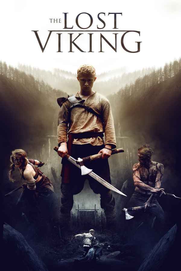 The Lost Viking Poster 1