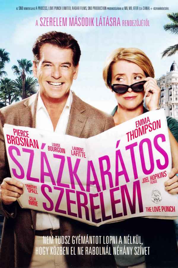 The Love Punch Poster 1