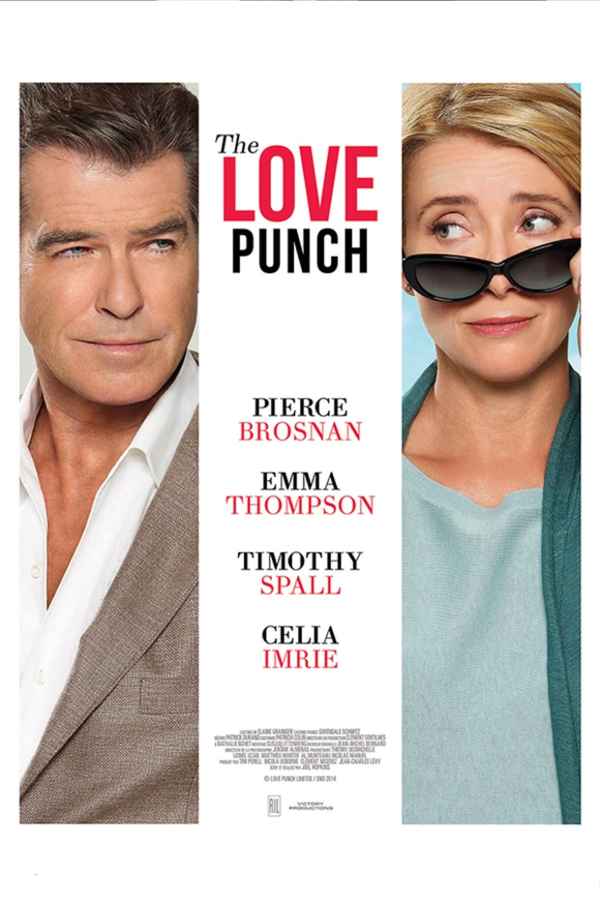 The Love Punch Poster 3