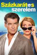 The Love Punch Poster 5